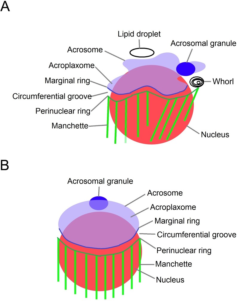 Fig 14