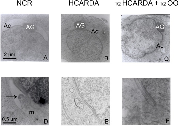 Fig 9