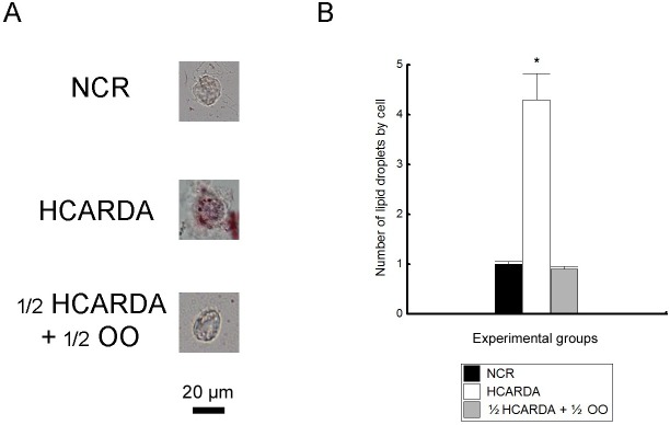 Fig 10