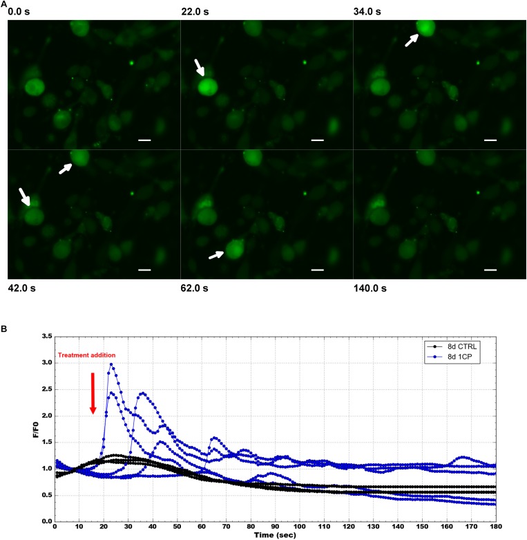 FIGURE 7