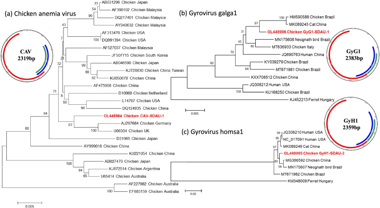 Fig. 2