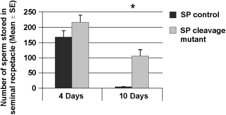 Figure 3.—