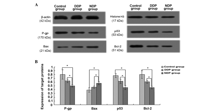 Figure 5.