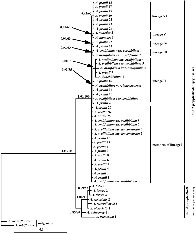 Figure 1.