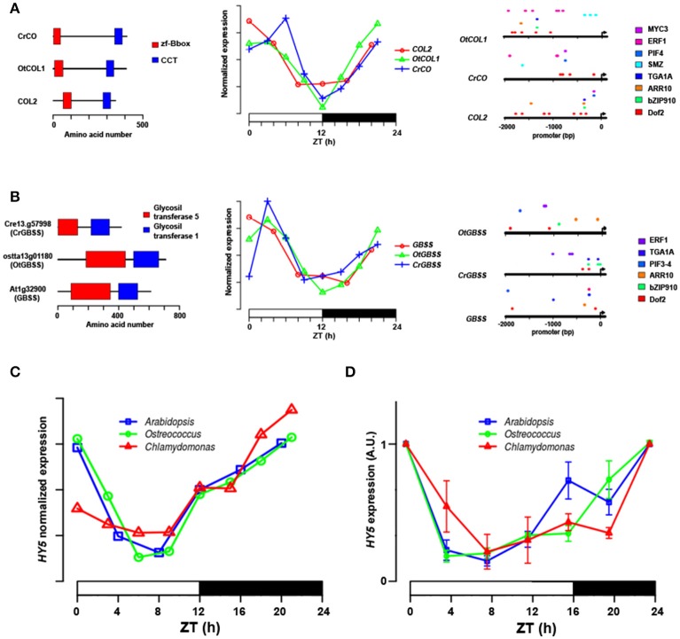 Figure 11