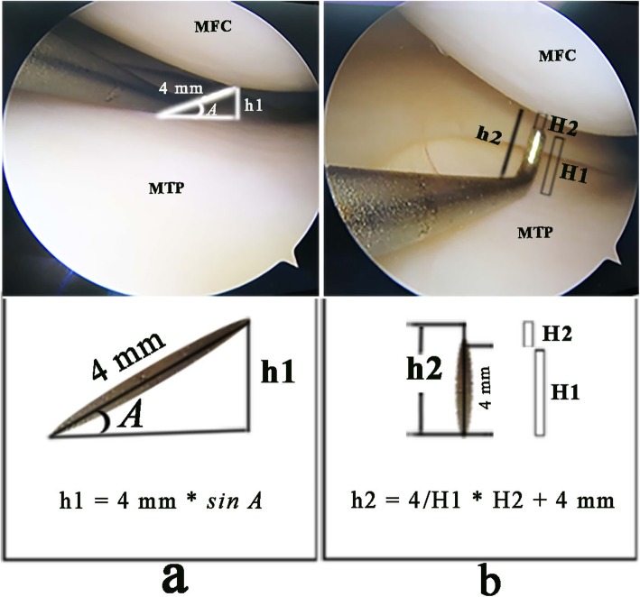 Fig. 2