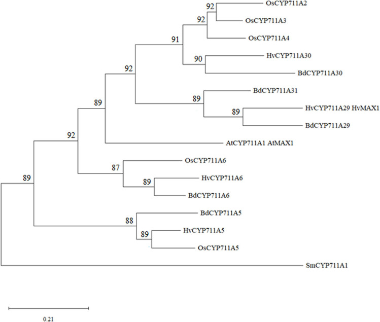 FIGURE 2