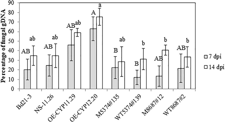 FIGURE 7