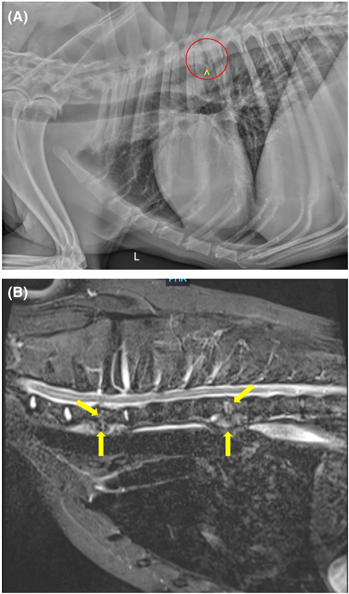 FIGURE 3