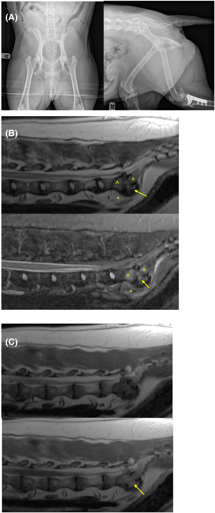 FIGURE 1