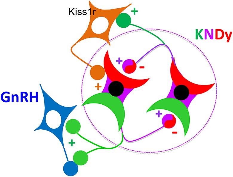 Figure 11.