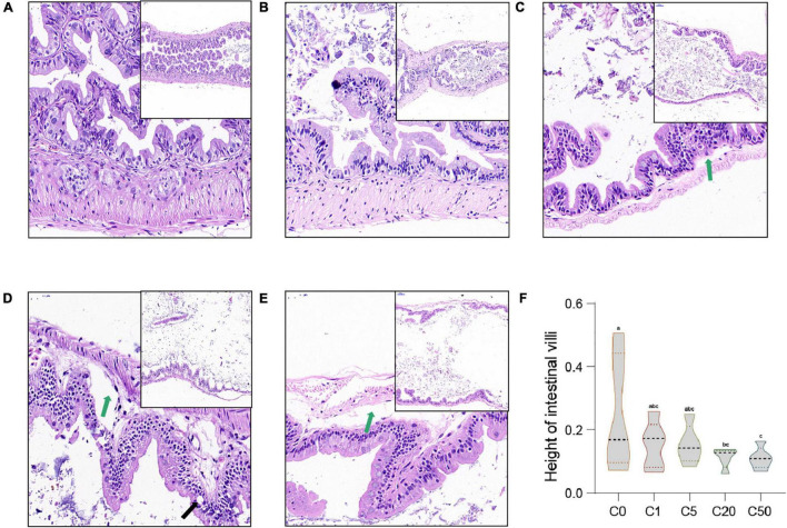 FIGURE 3