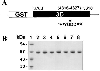 FIG. 1