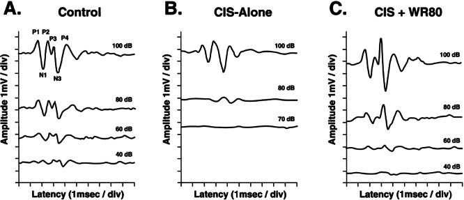 Figure 1