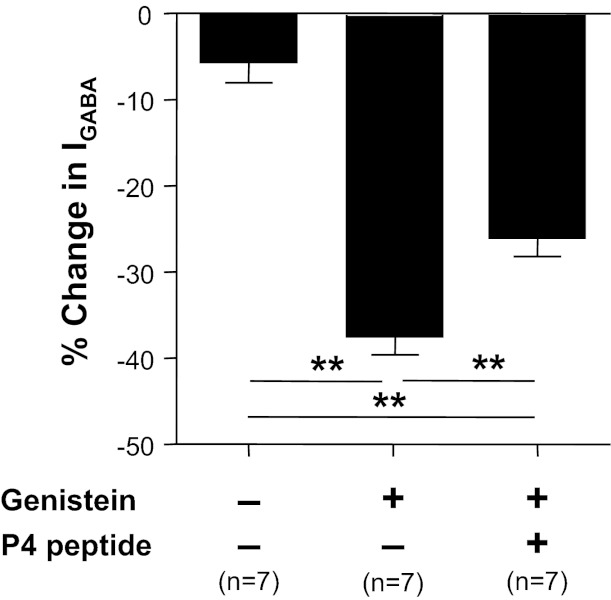 Fig. 10.