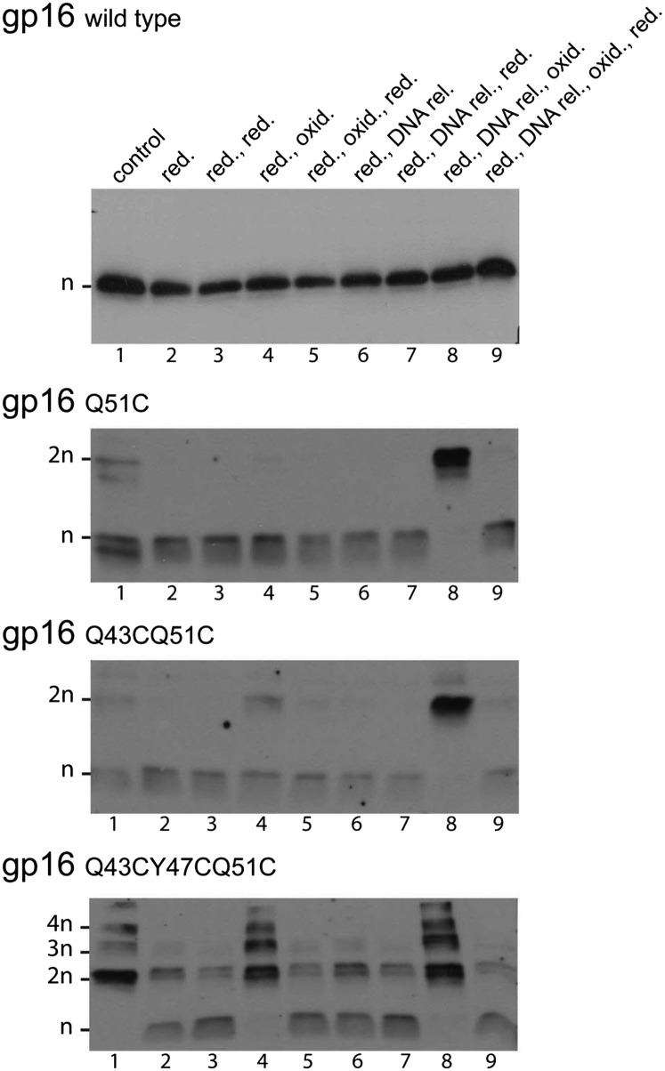 Fig. 5.