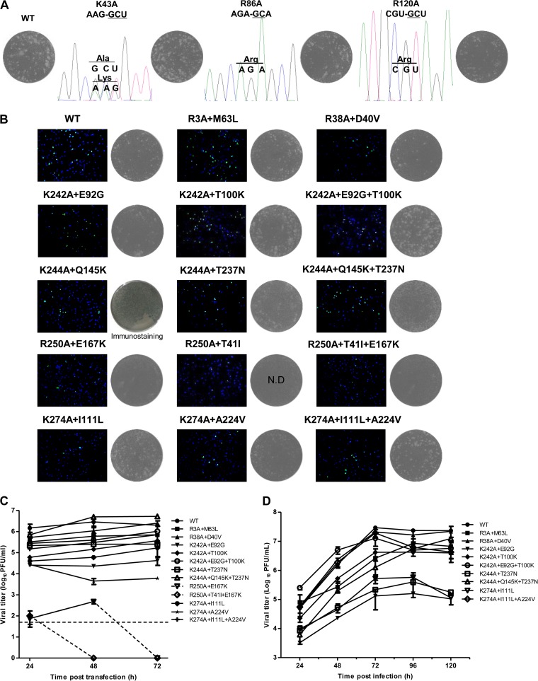 FIG 3