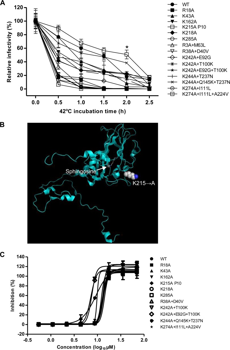 FIG 4