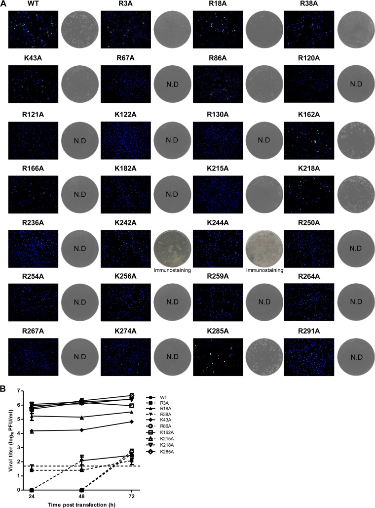 FIG 2