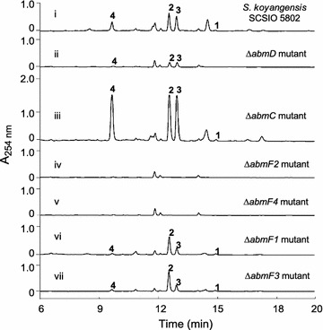 Fig. 5