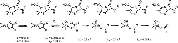 Scheme 3.