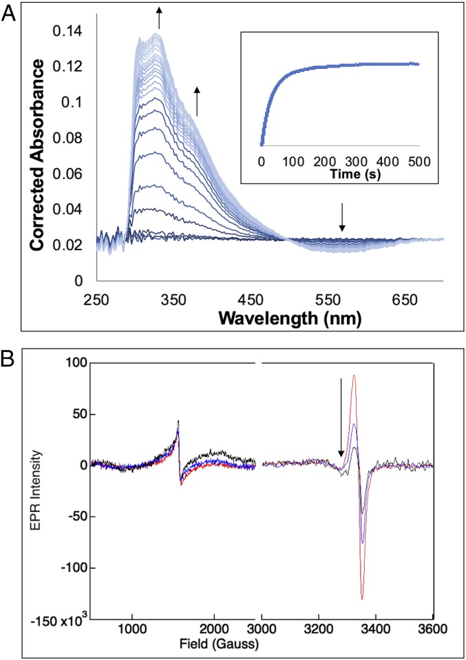 Fig. 3.