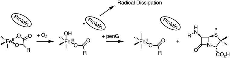 Scheme 4.