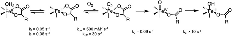 Scheme 2.