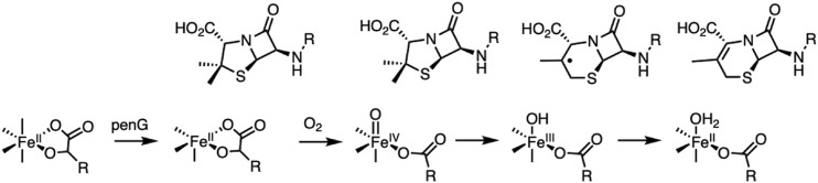 Scheme 5.