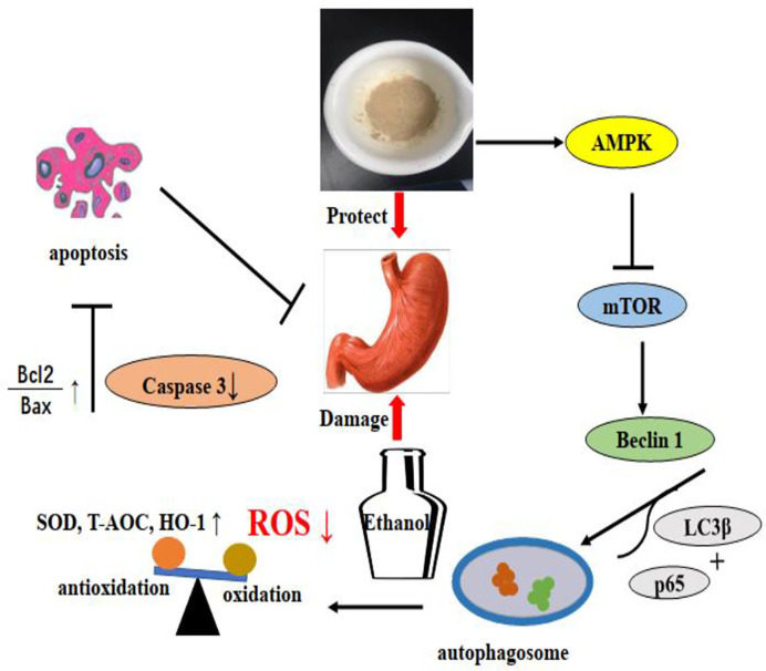 Figure 12