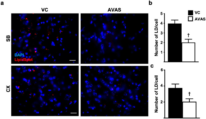 Fig. 4