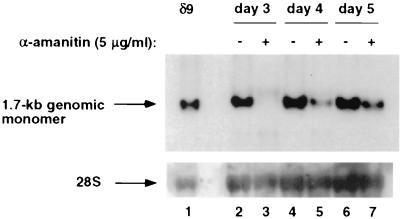 FIG. 5.