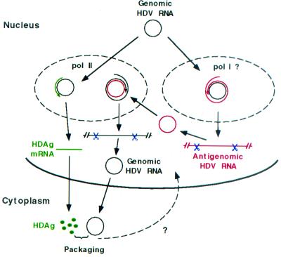 FIG. 7.