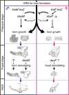 Fig 8