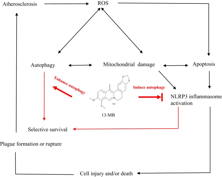 Fig. 7