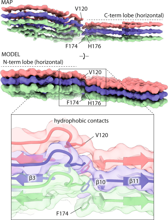 Fig. 3