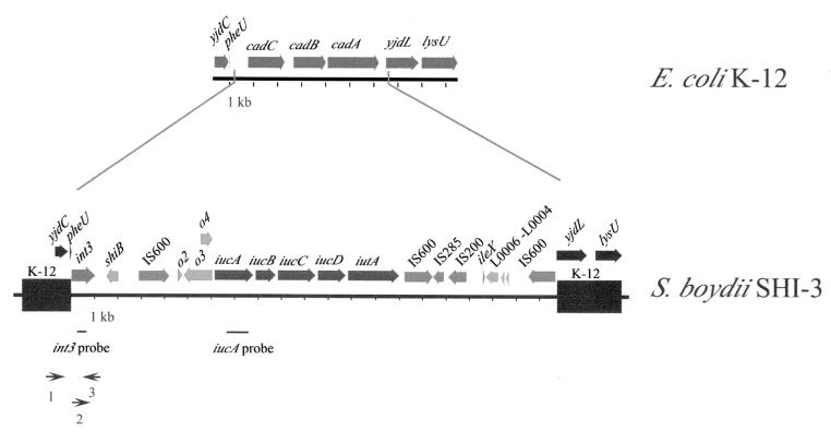 FIG. 1