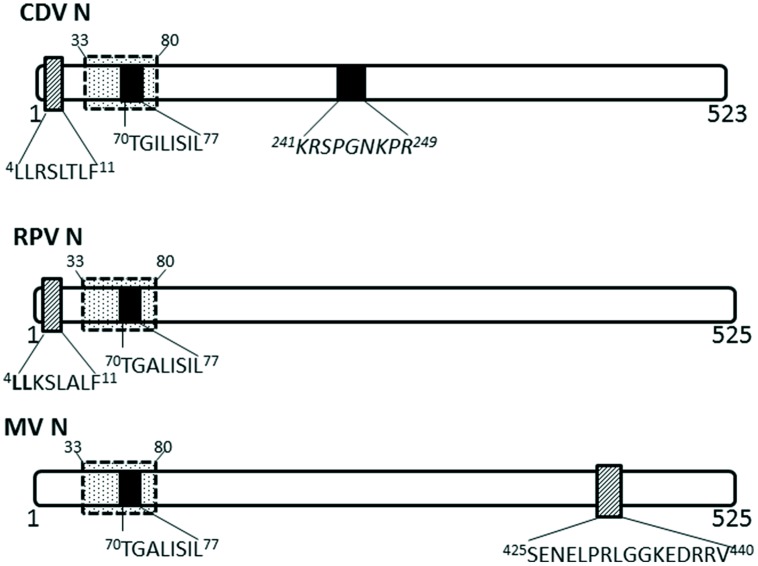 FIGURE 3