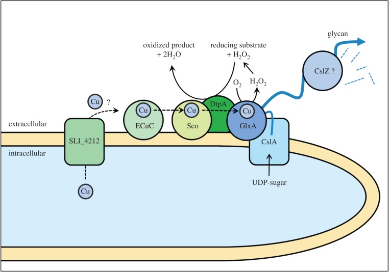 Figure 9.