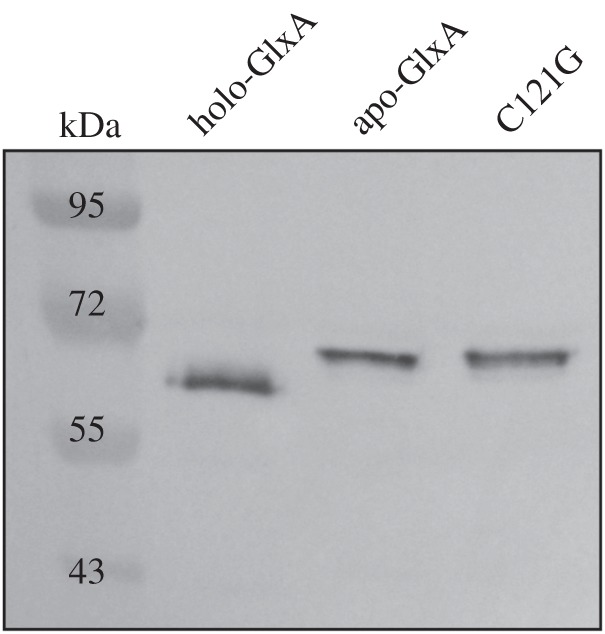 Figure 3.