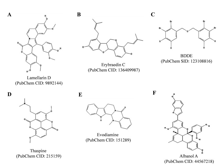 Fig. (6)