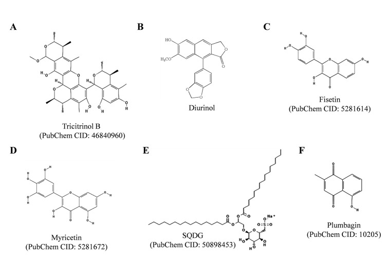 Fig. (8)