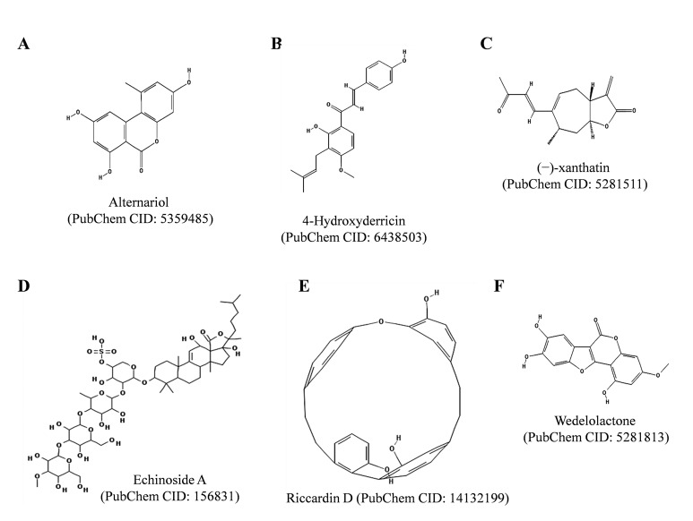 Fig. (7)