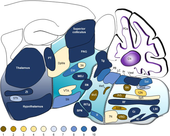 Fig. 4