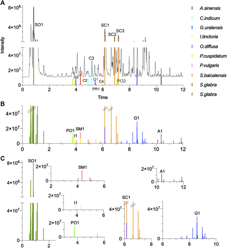 FIGURE 7