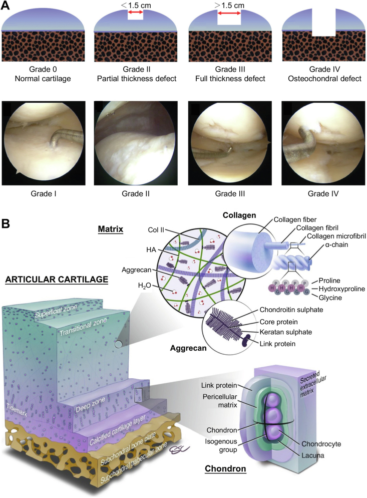 Fig. 3