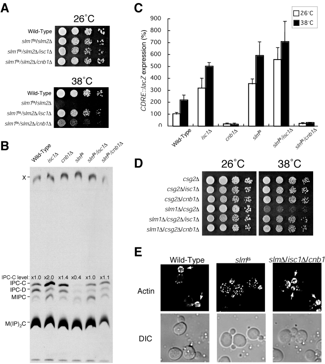 FIG. 8.