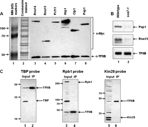 FIGURE 1.