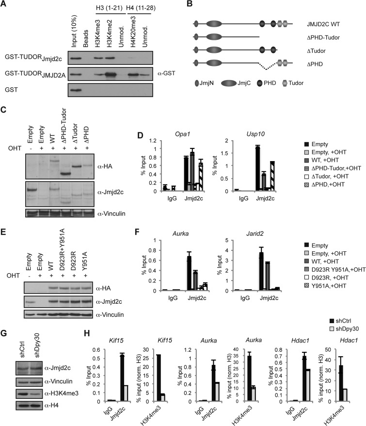 FIG 6