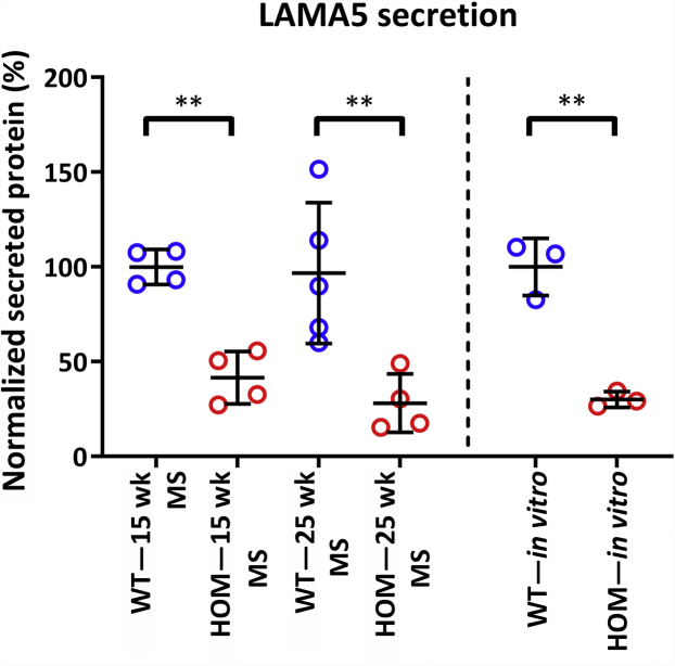 Figure 12